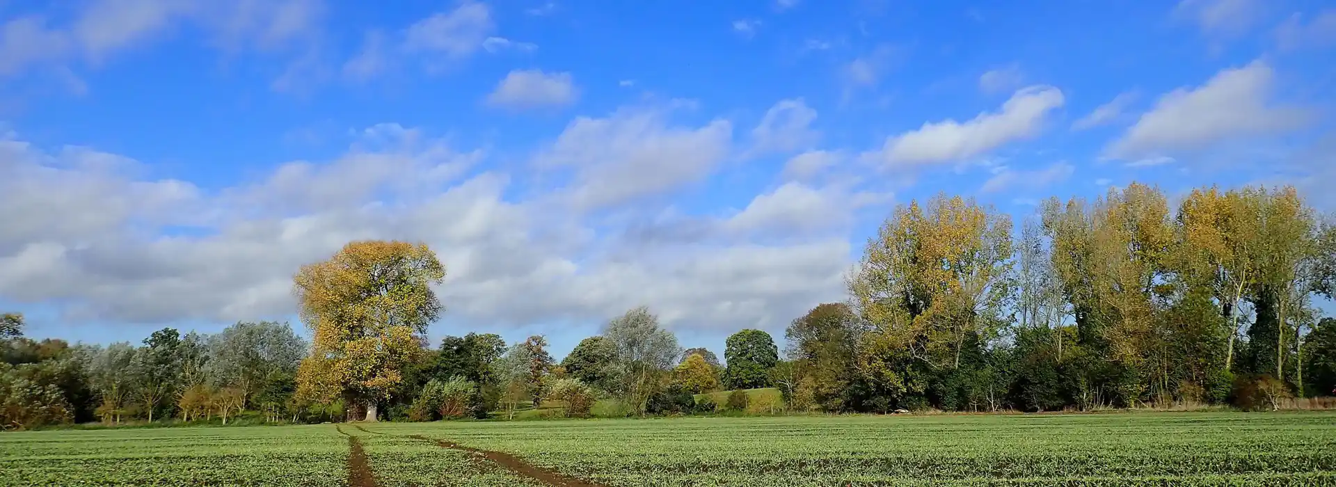 Aldenham campsites