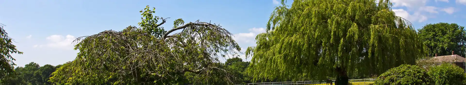 Bishop's Waltham campsites