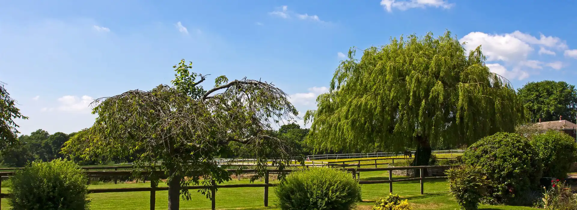 Bishop's Waltham campsites