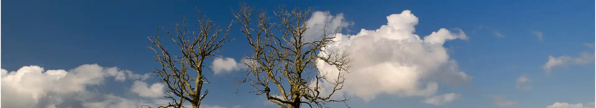 Blanefield campsites