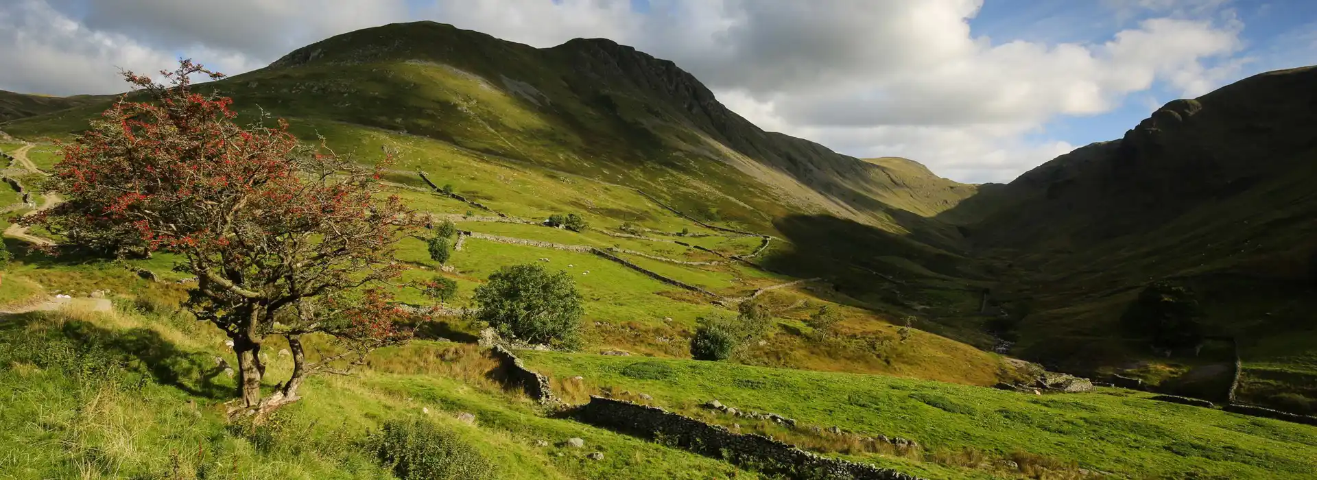 Hartsop campsites