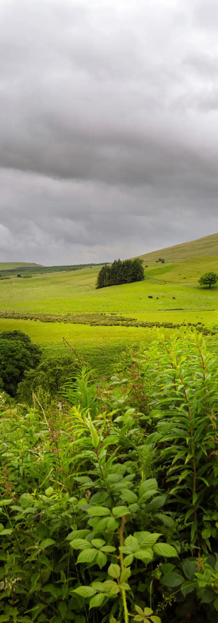 10+ Lamplugh campsites - Best camping in Lamplugh, Cumbria & Lake District