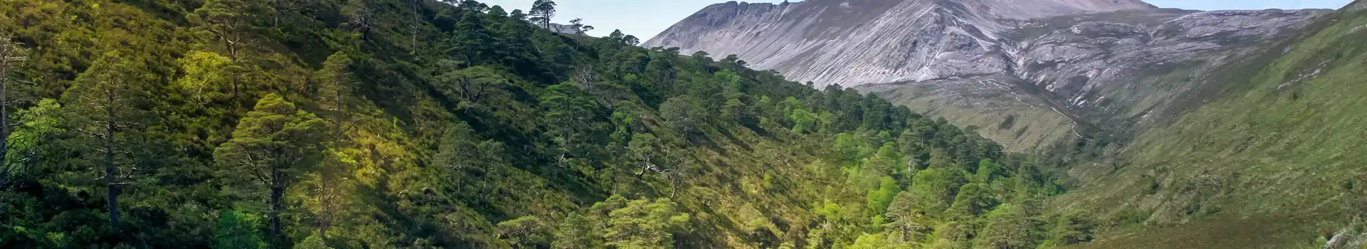 Kinlochewe campsites