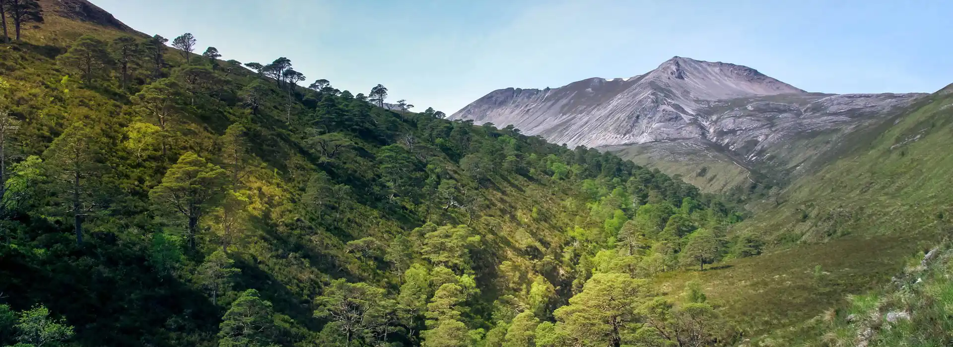 Kinlochewe campsites