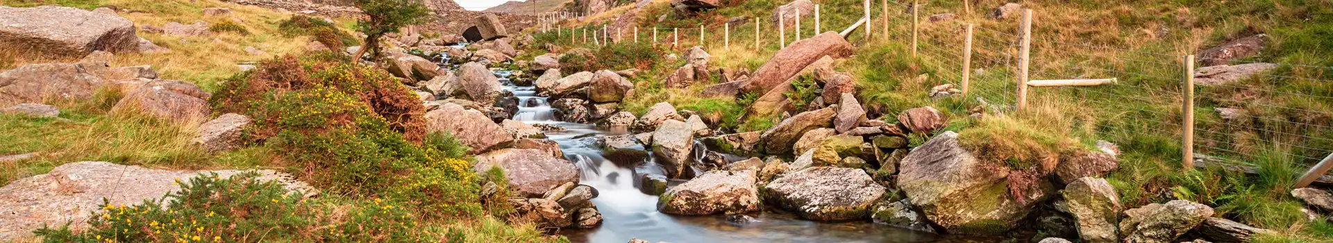 Nant Peris campsites