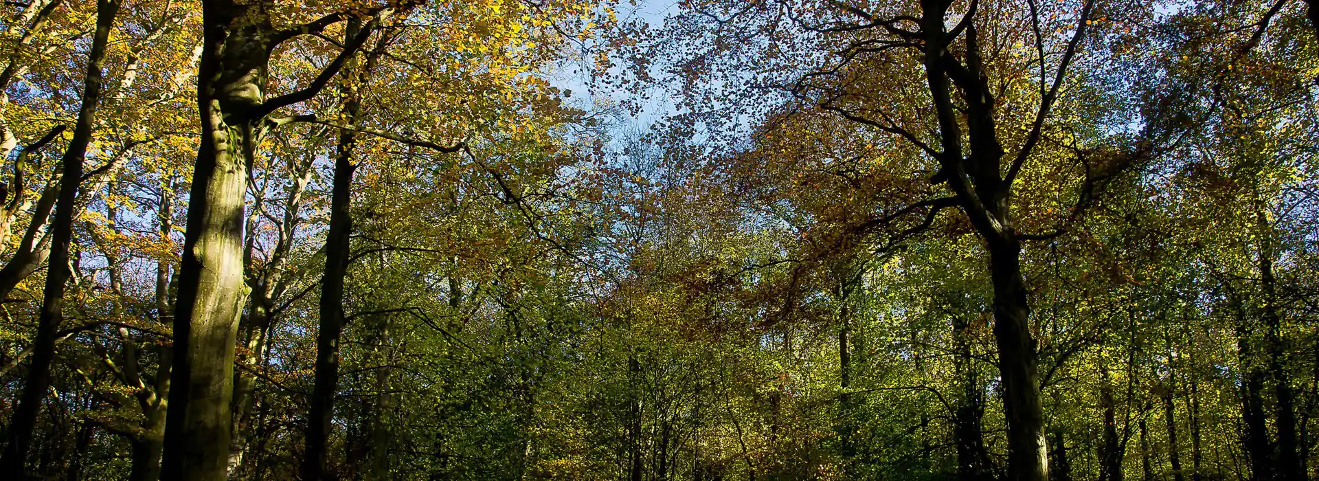 Gosforth campsites Gosforth campsites