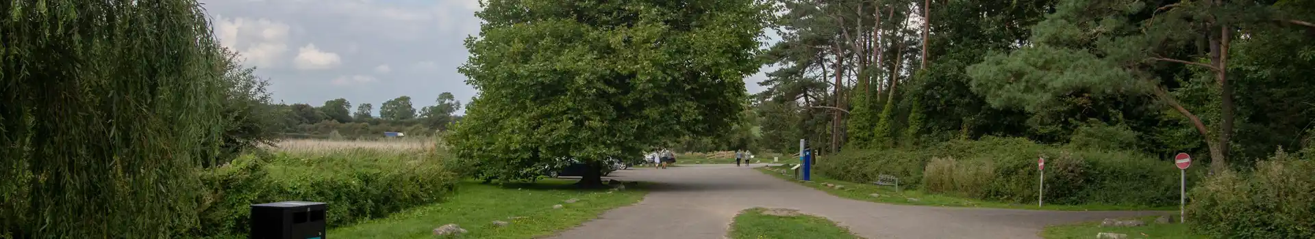 Chew Magna campsites