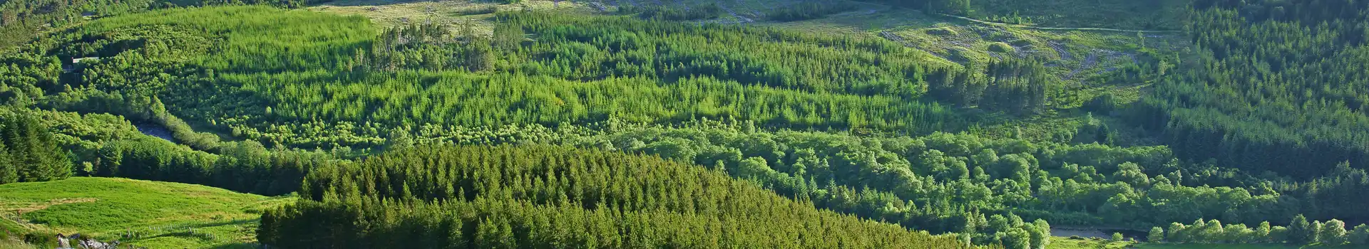 Garve campsites