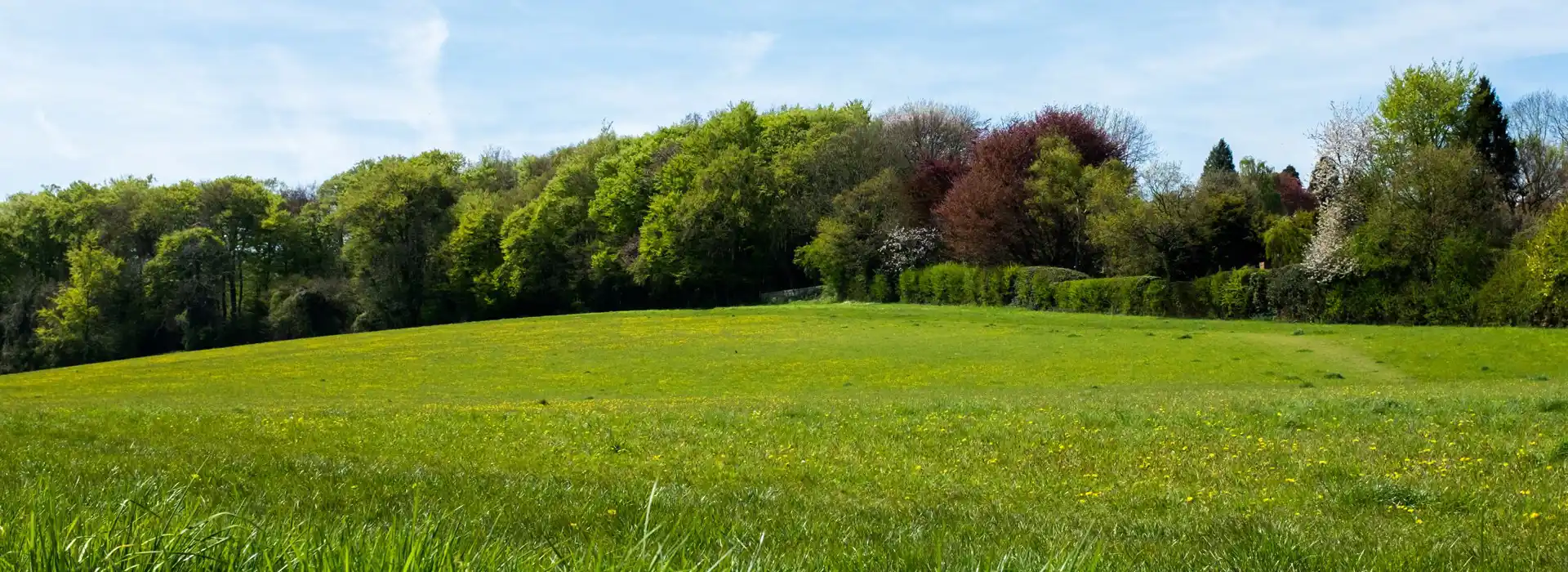 Great Missenden campsites