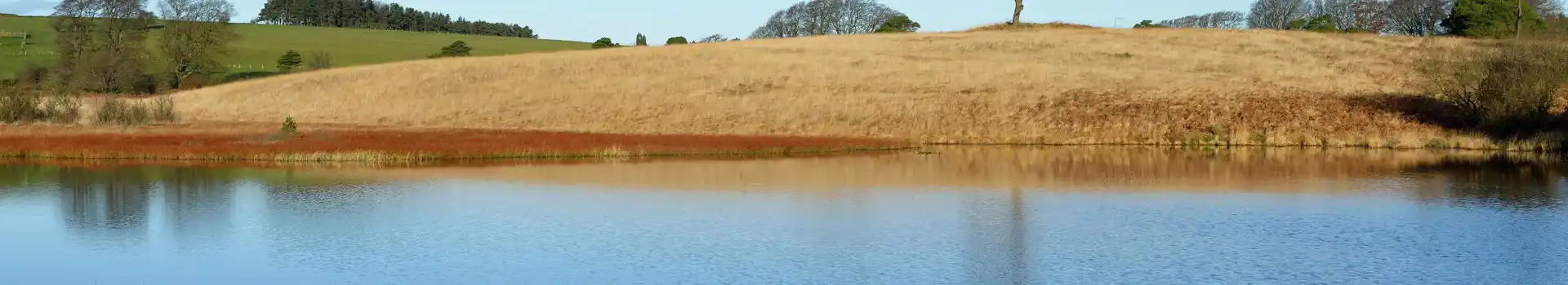Priddy campsites