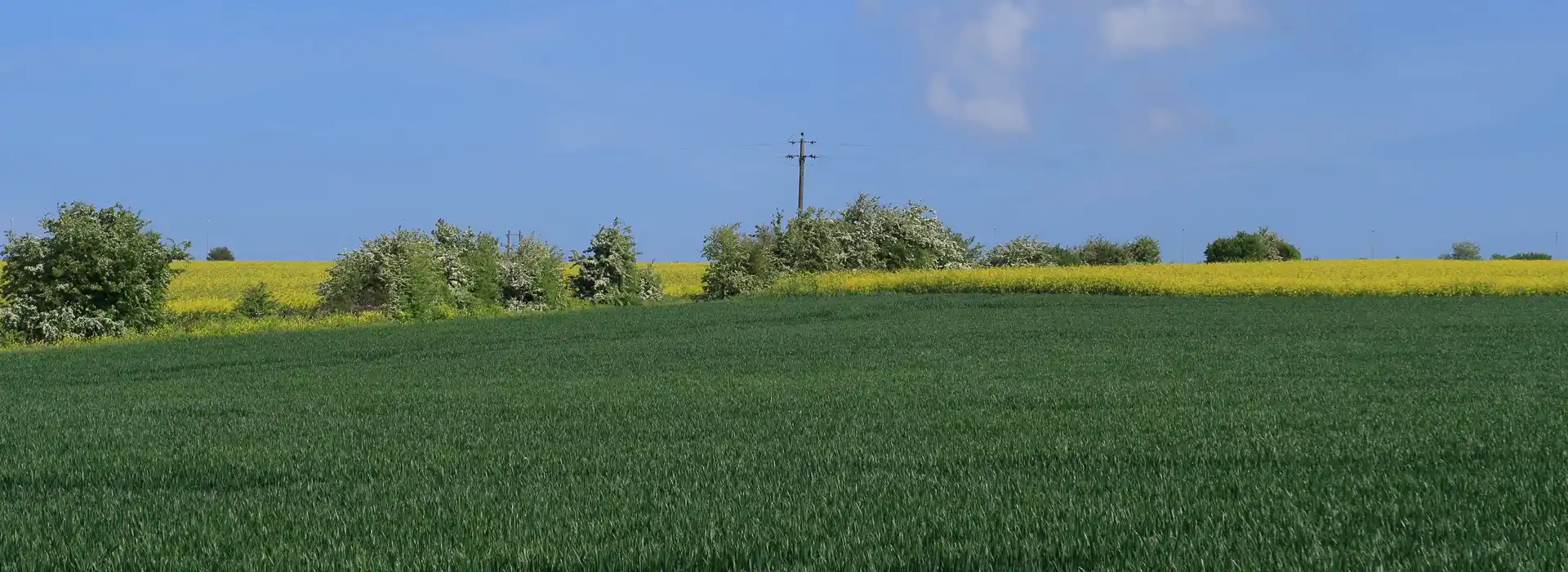 Minster campsites