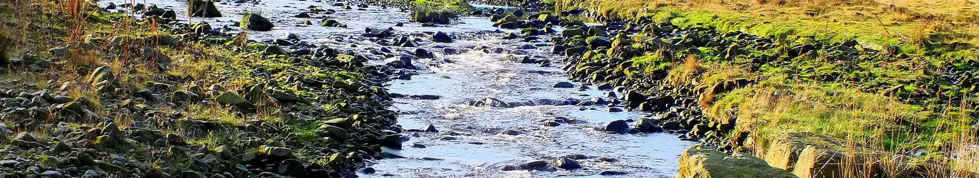 Dunsop Bridge campsites