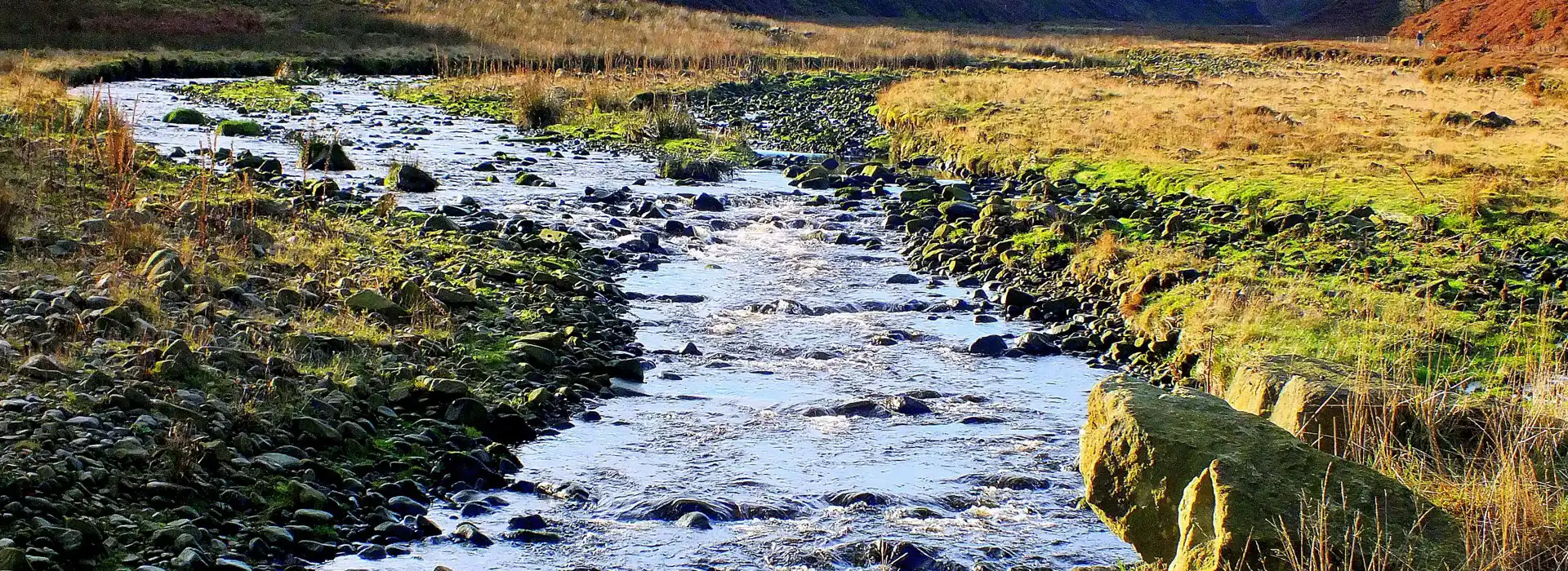 Dunsop Bridge campsites