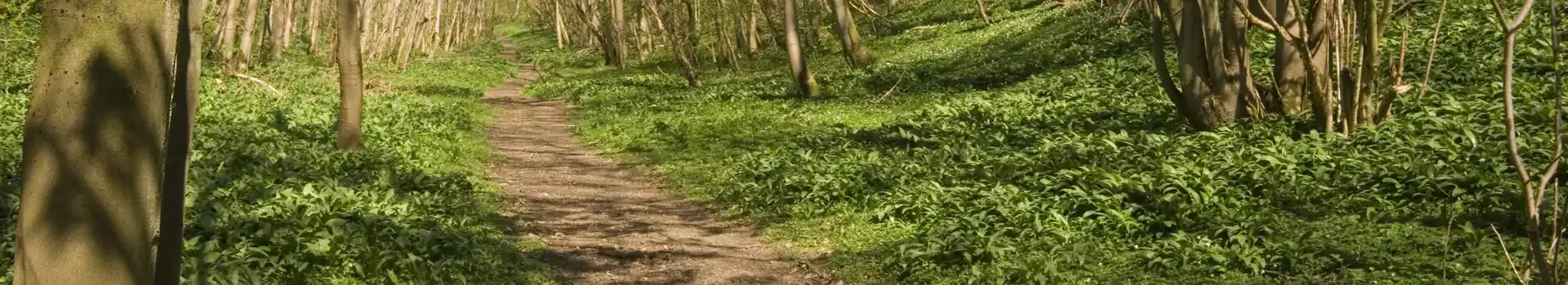 Kirkbymoorside campsites