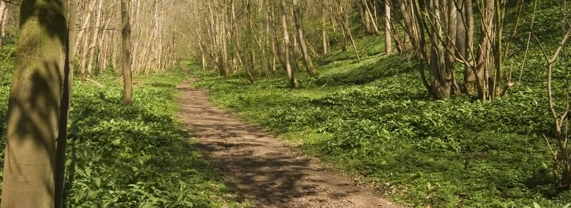 Kirkbymoorside campsites