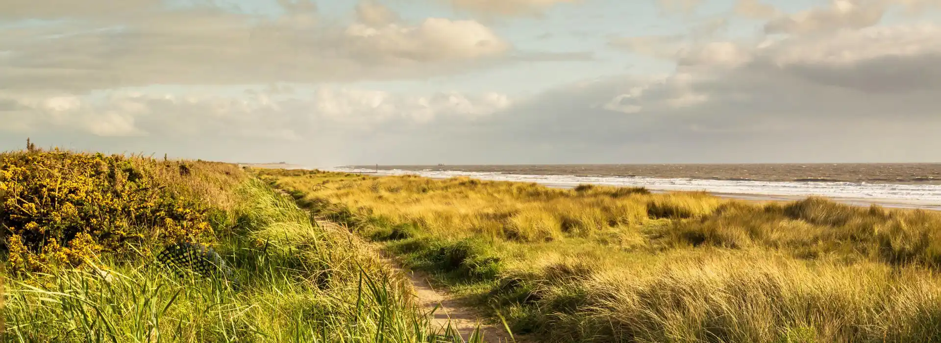 Huttoft campsites