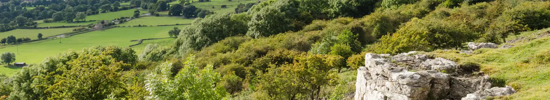 Castle Bolton campsites