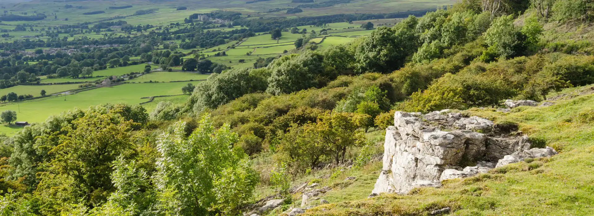 Castle Bolton campsites