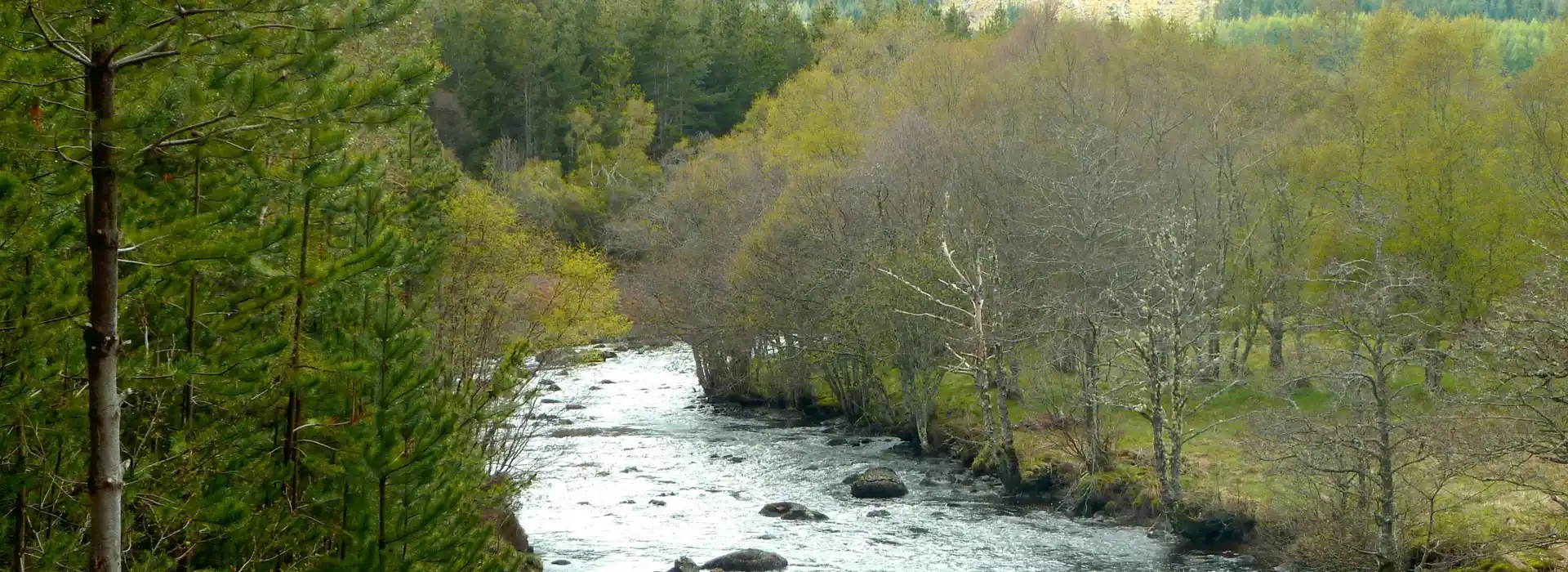 Alness campsites
