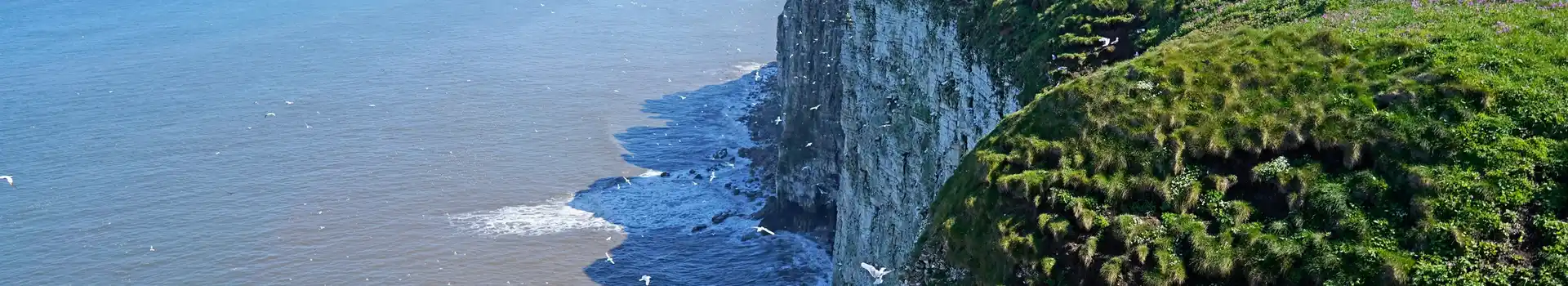 Bempton campsites
