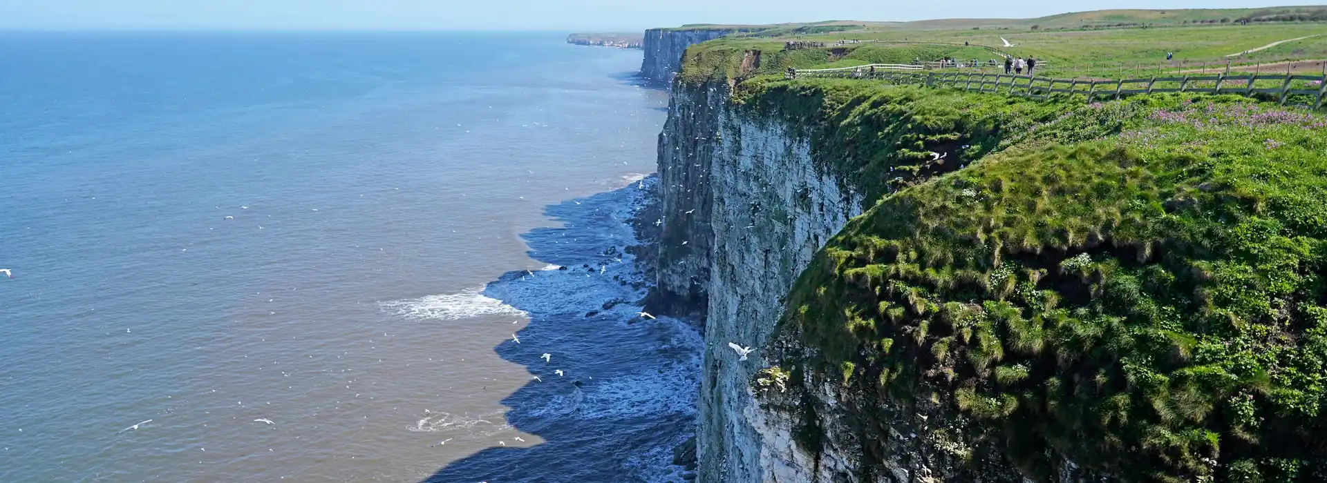 Bempton campsites Bempton campsites