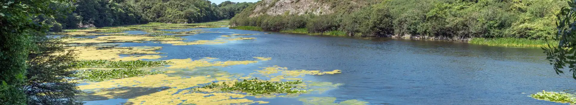 Bosherston campsites