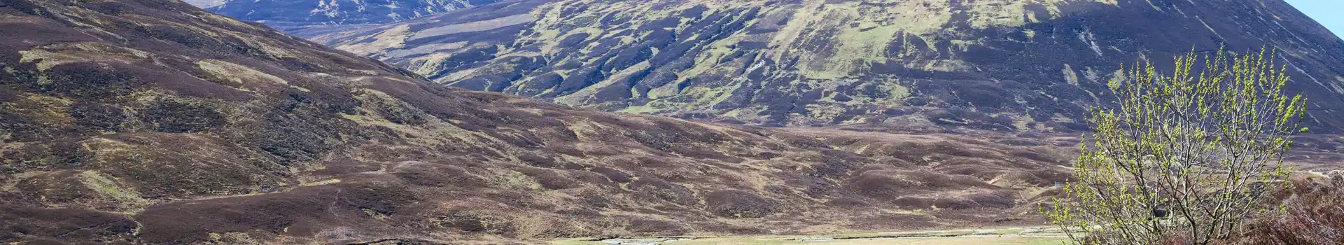 Dalwhinnie campsites