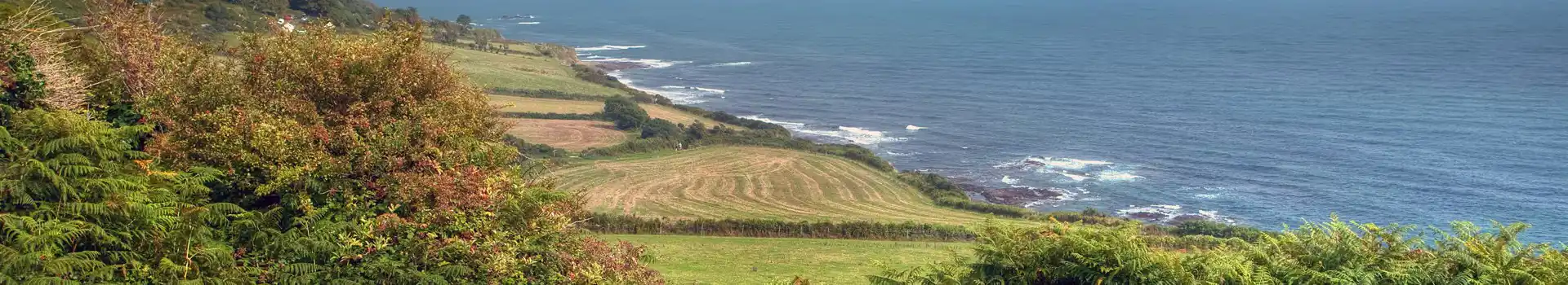 East Prawle campsites