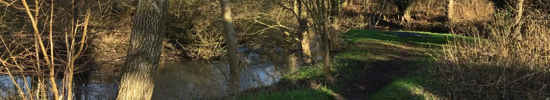 Halstead campsites