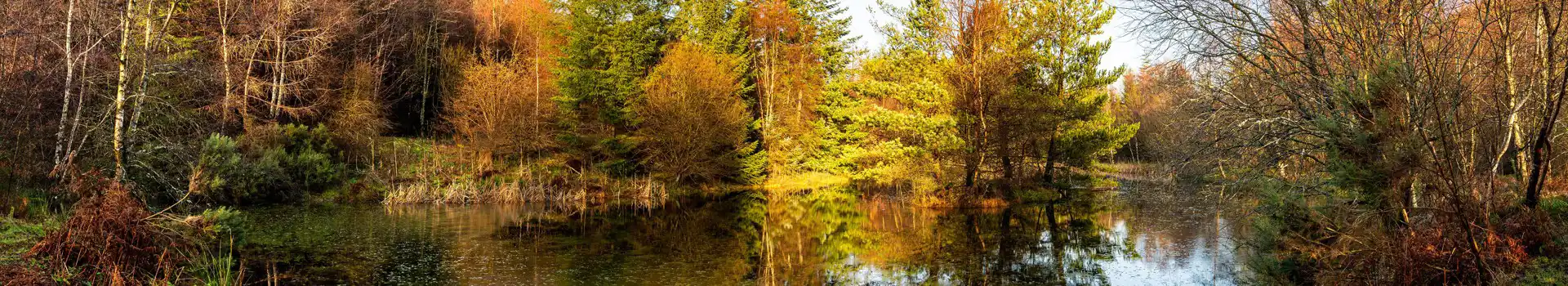 Campsites in Hamsterley, County Durham