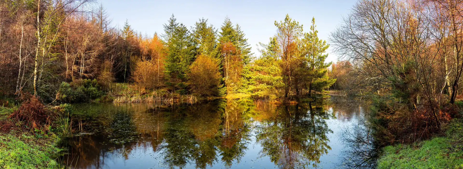 Campsites in Hamsterley, County Durham