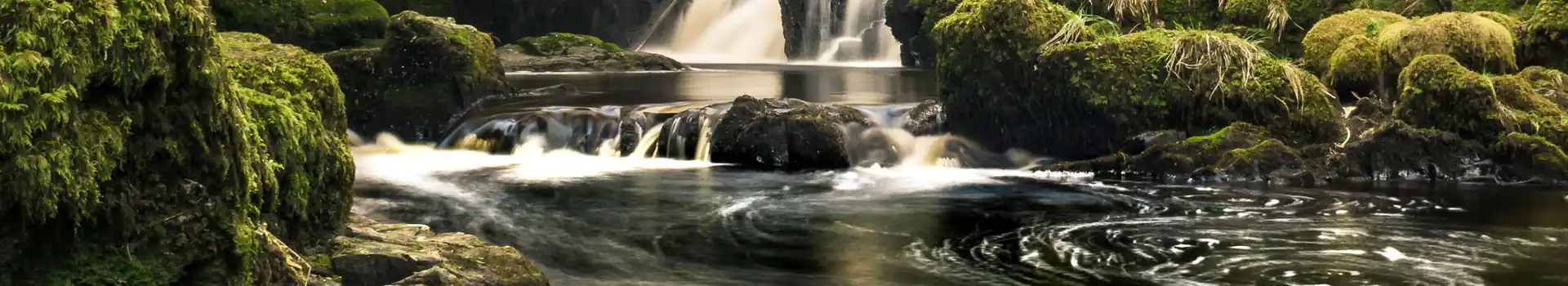 Livingston campsites