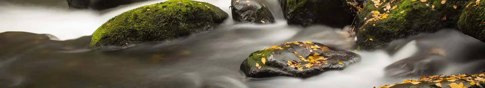 Llanystumdwy campsites