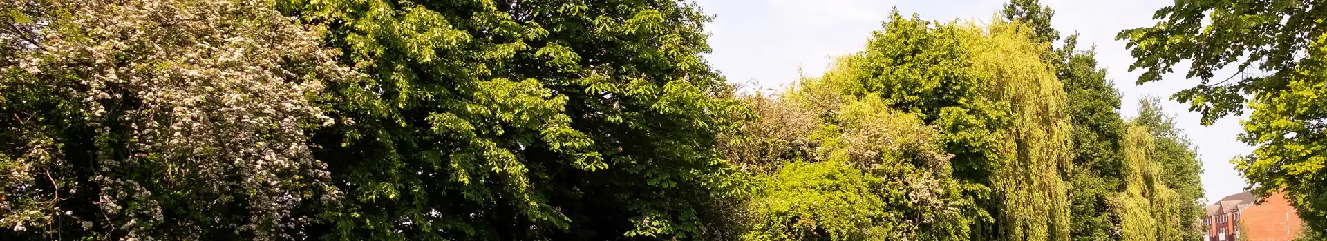 Long Eaton campsites