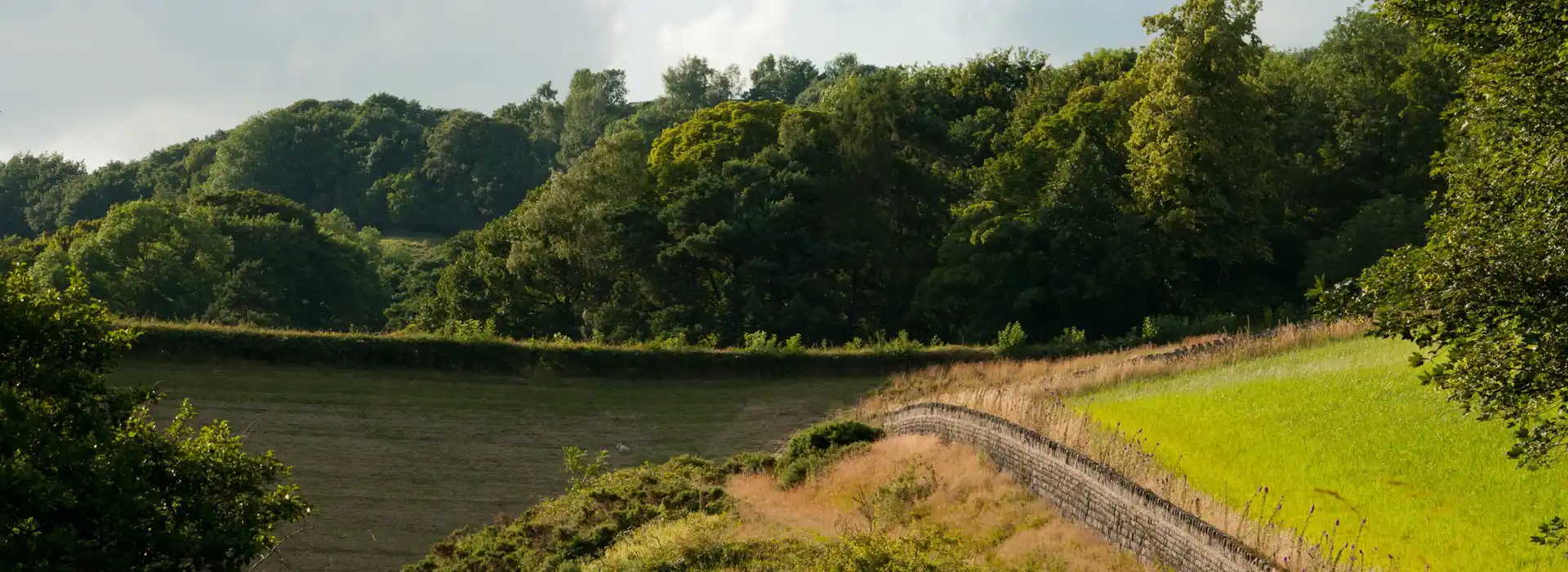 Loxley campsites