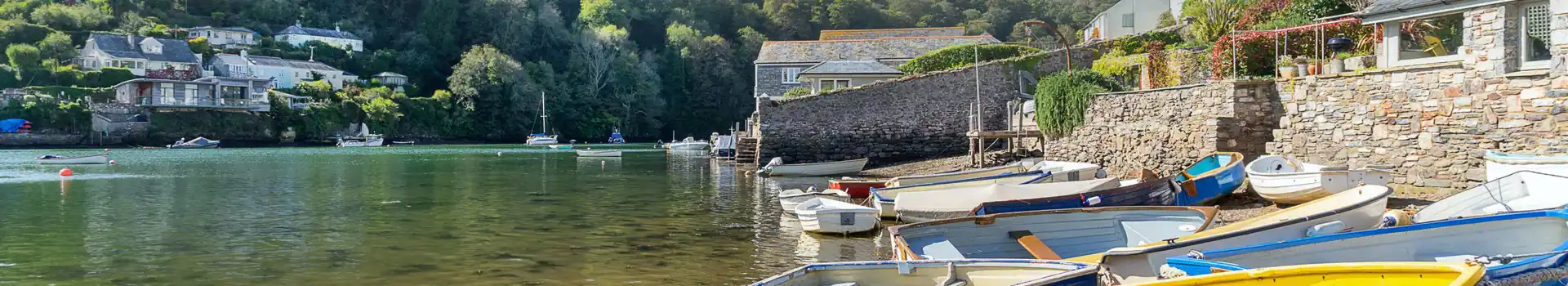 Noss Mayo