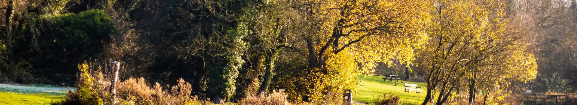 Royal Wootton Bassett campsites