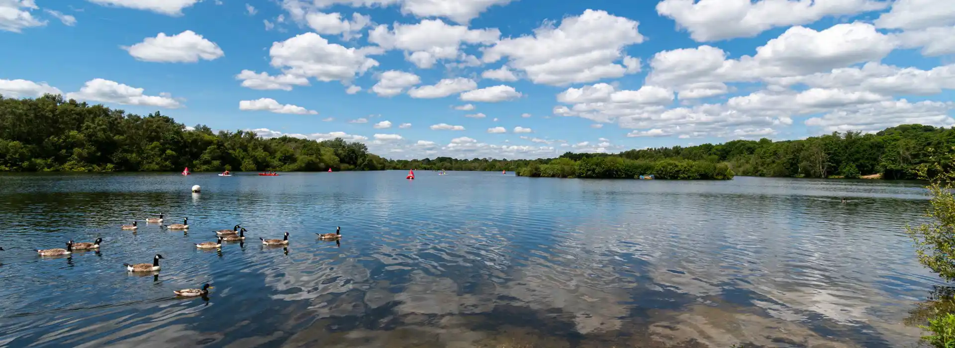 Sandhurst campsites