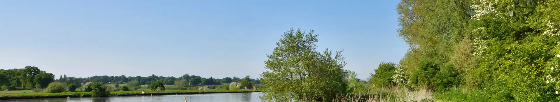 Surlingham campsites