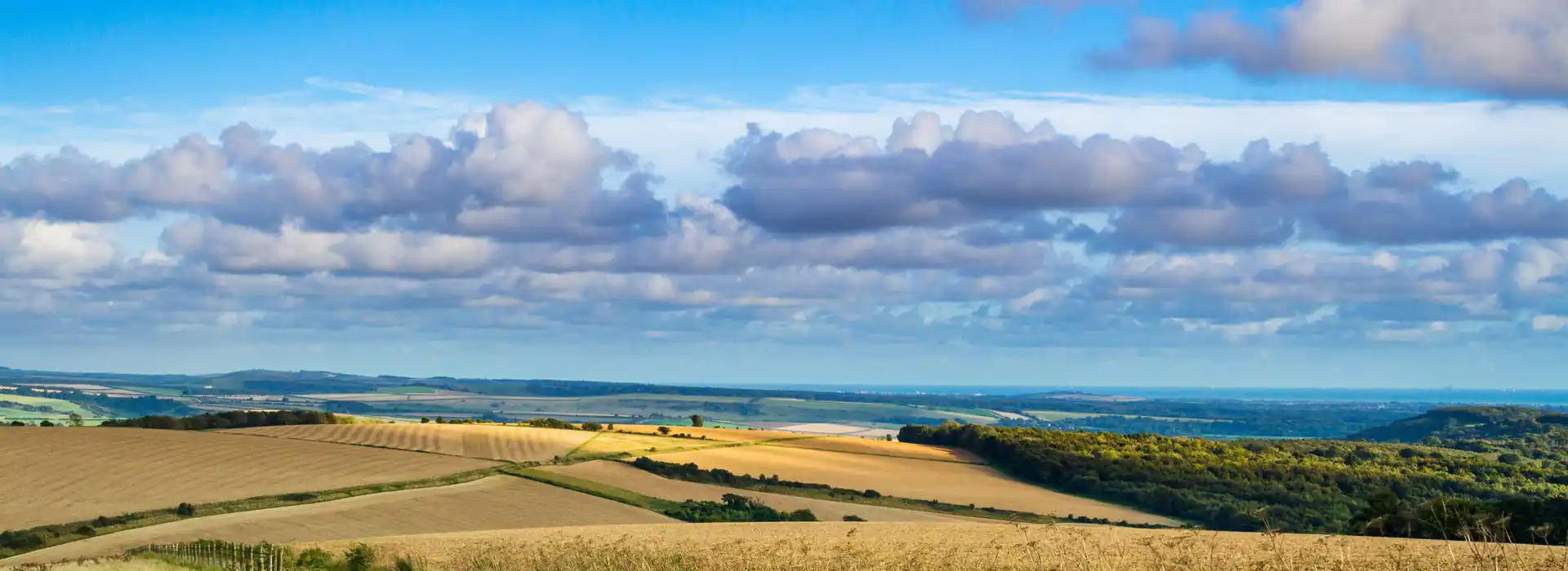 Bignor campsites