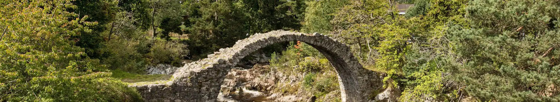 Carrbridge campsites