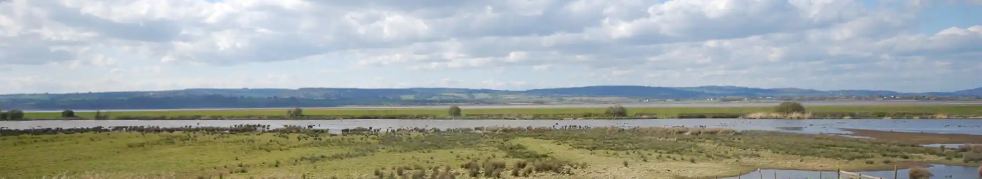 Slimbridge campsites