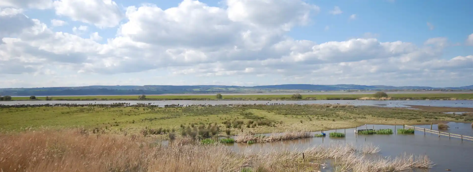 Slimbridge campsites