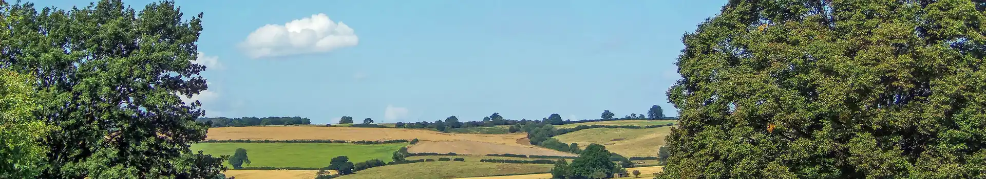 Uppingham campsites
