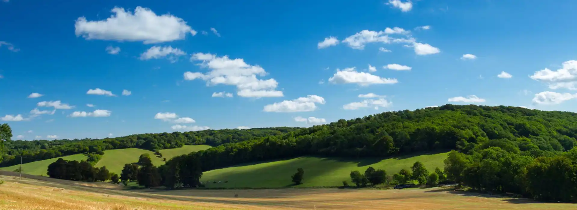 Woldingham campsites