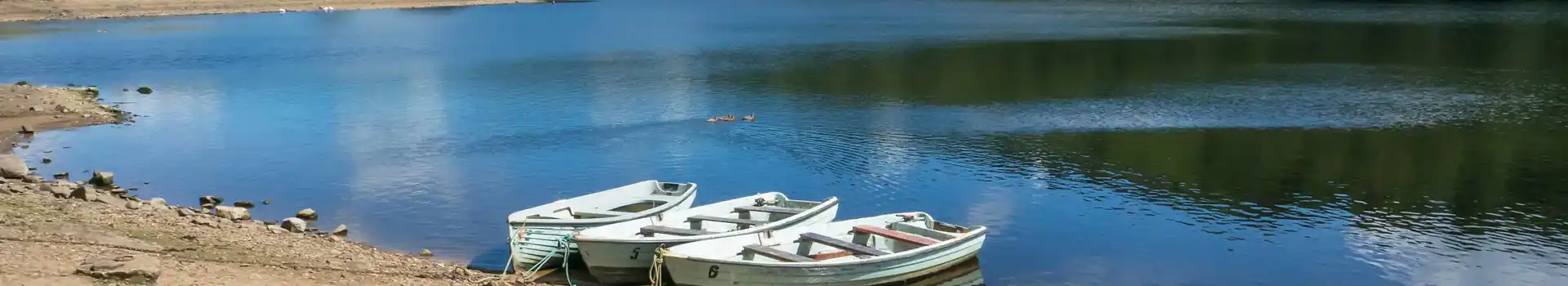 Wolsingham campsites