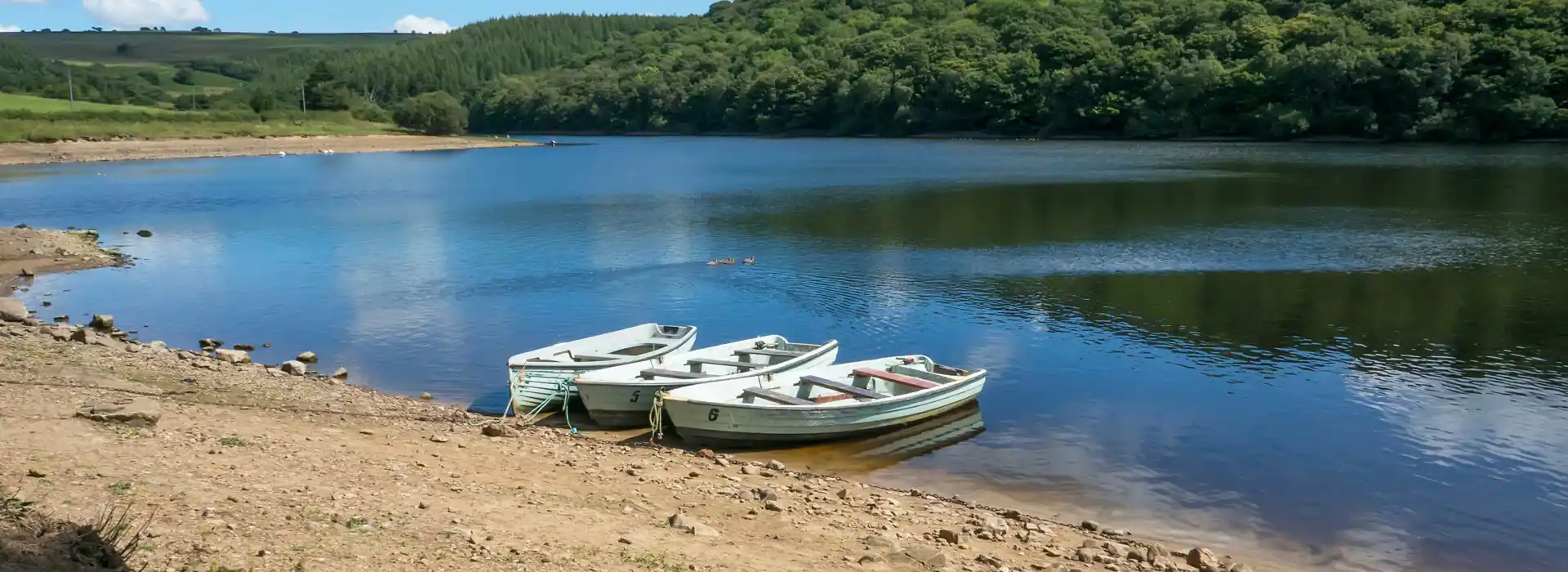 Wolsingham campsites Wolsingham campsites