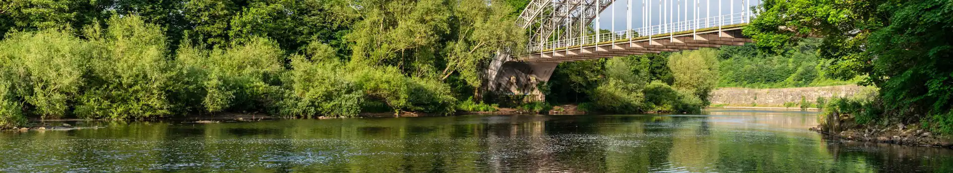 Wylam campsites
