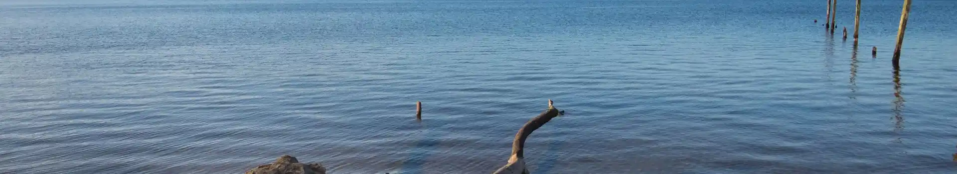 Alexandria campsites