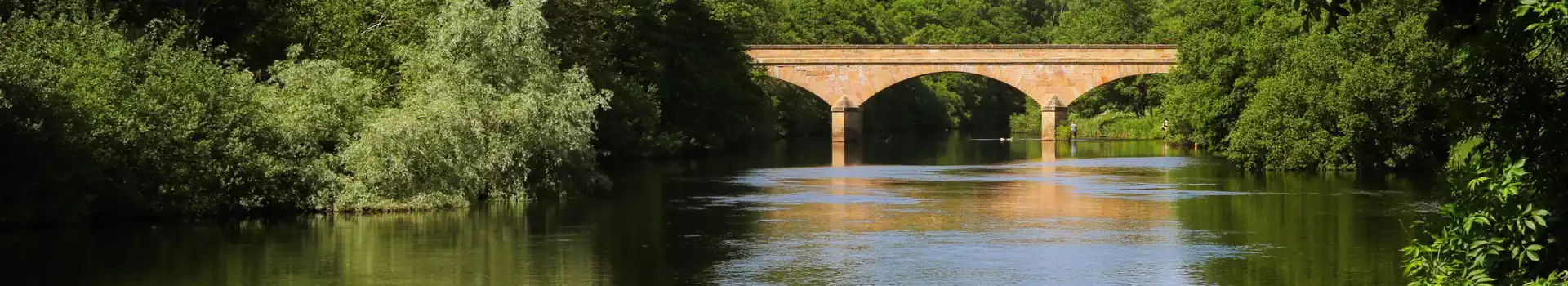 Bellingham campsites